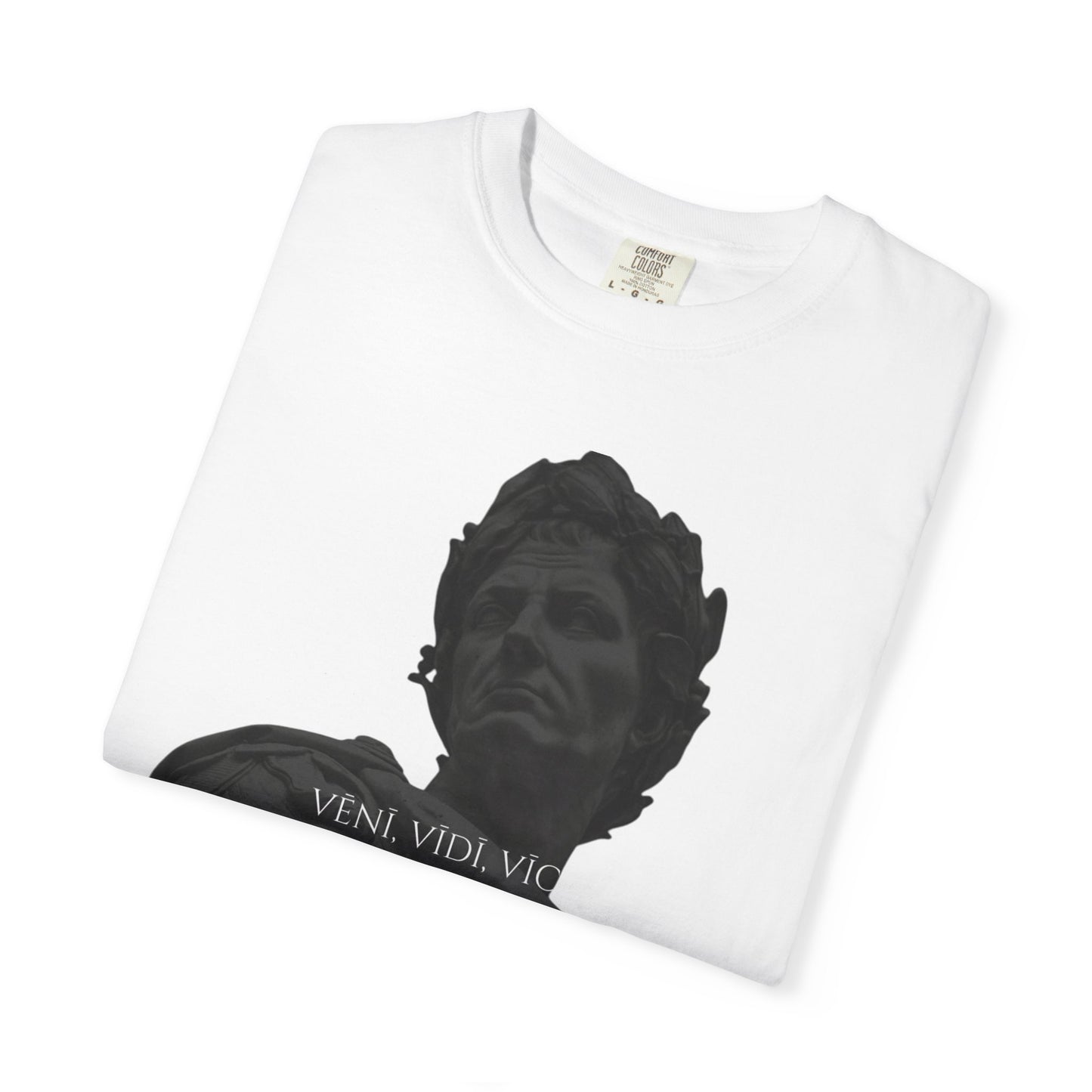 VENI,VIDI,VICI T-shirt
