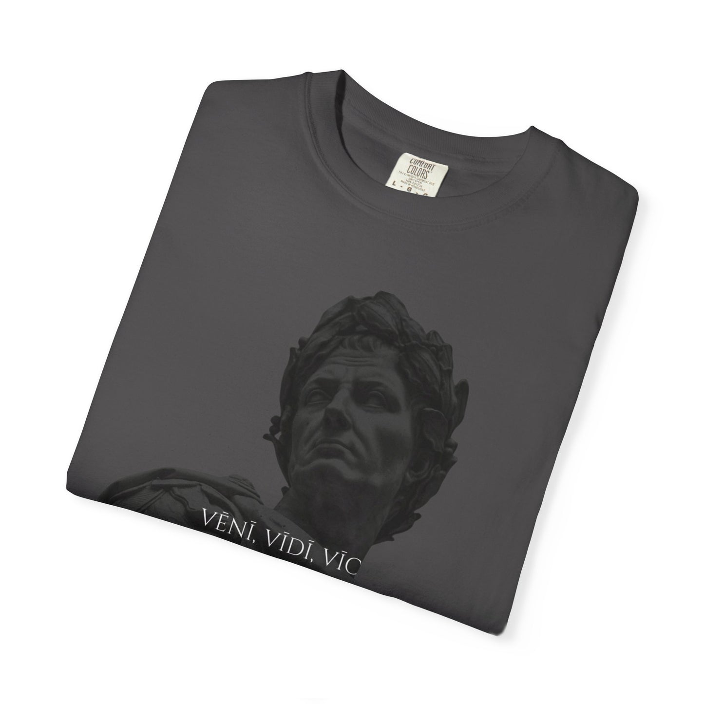 VENI,VIDI,VICI T-shirt