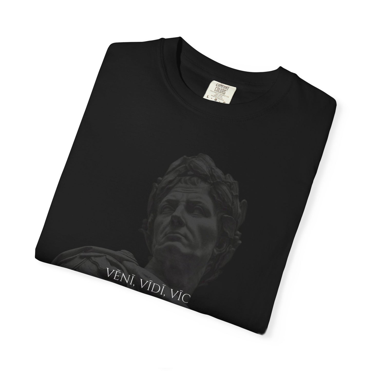 VENI,VIDI,VICI T-shirt